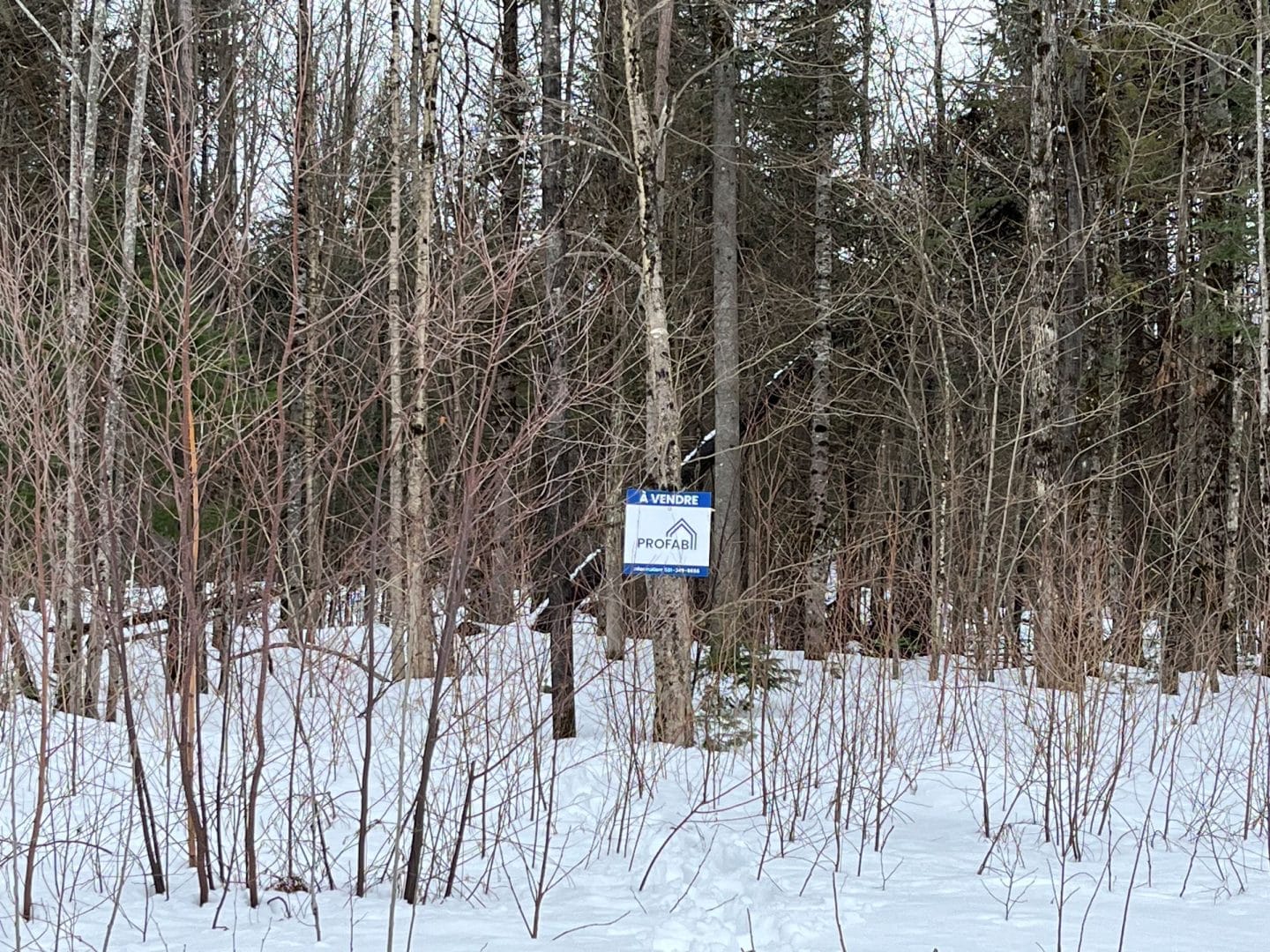 Photo du paysage à Grandes-Piles. Un terrain numéro 6 444 067 vacant à vendre.